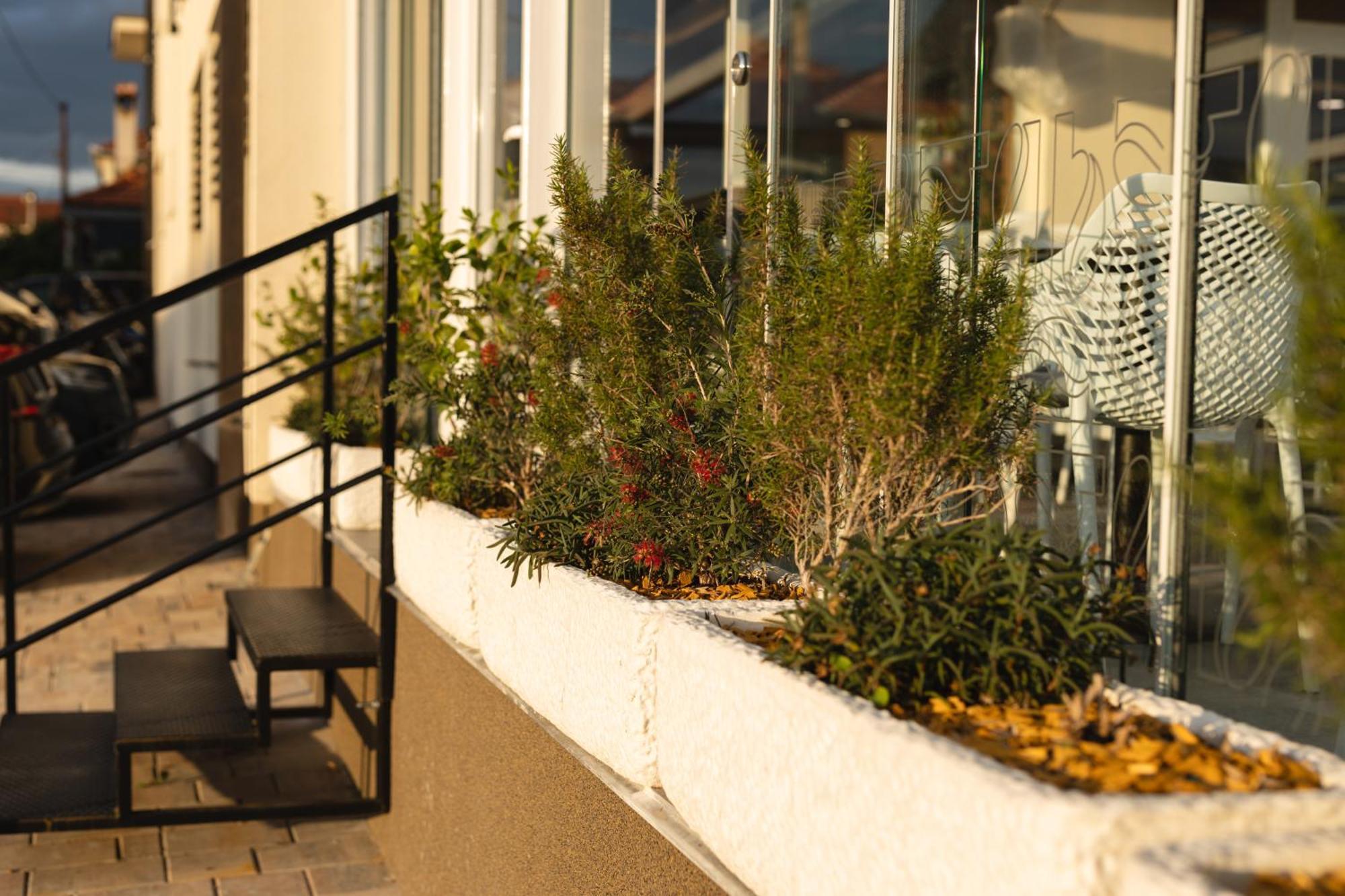 D8 B&B Zadar Exteriör bild